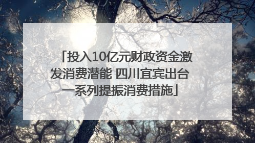 投入10亿元财政资金激发消费潜能 四川宜宾出台一系列提振消费措施